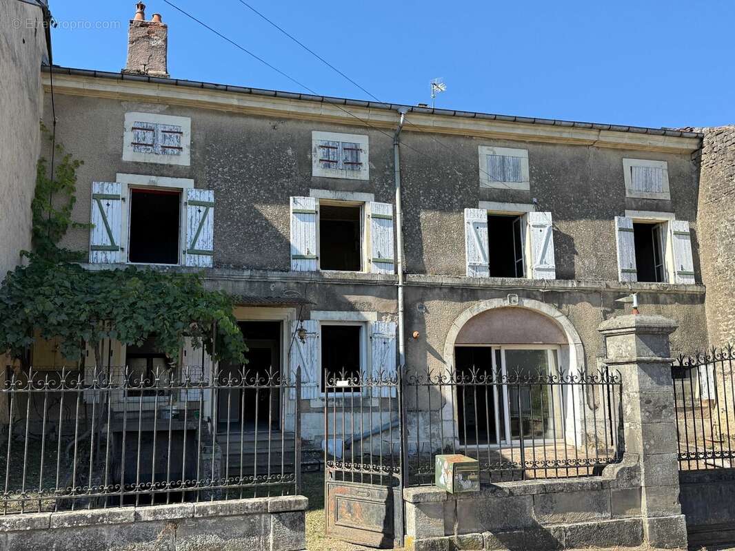 Maison 400 m² à Chatillon-Sur-Saone  - photo 2