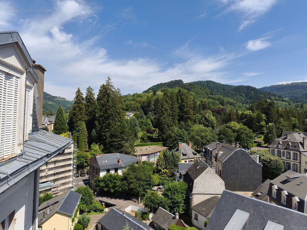 T2 de 32 m2 à fort potentiel dans une belle résidence avec une vue splendide - photo 2