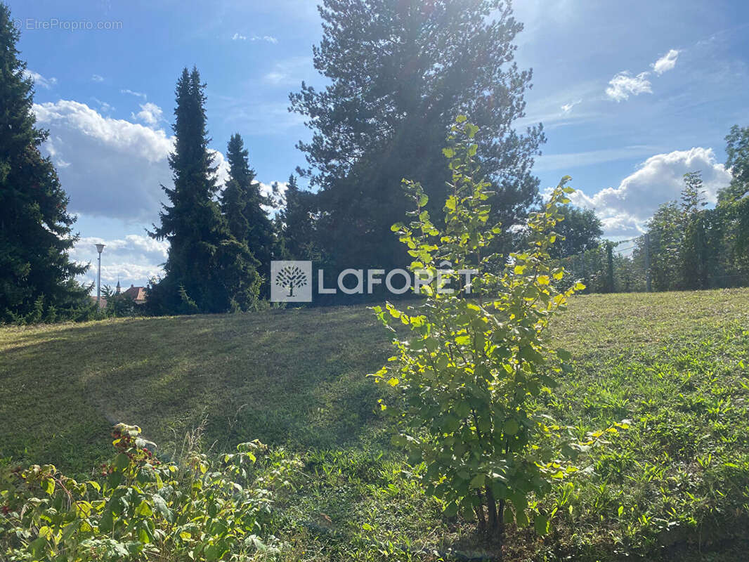 Maison à MITTELHAUSBERGEN