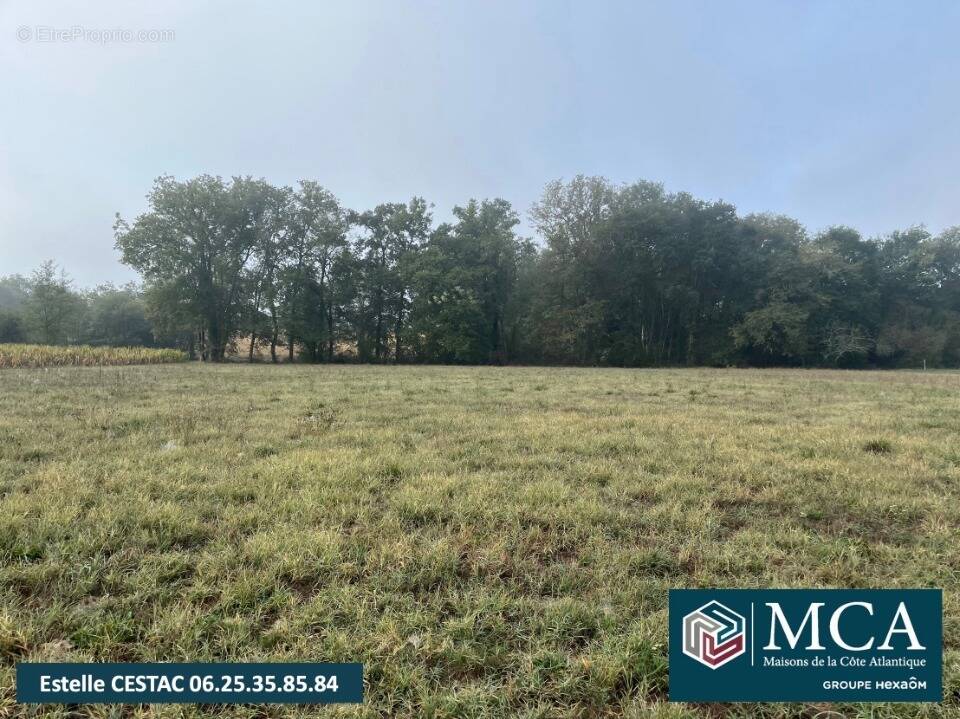 Terrain à LABASTIDE-D'ARMAGNAC