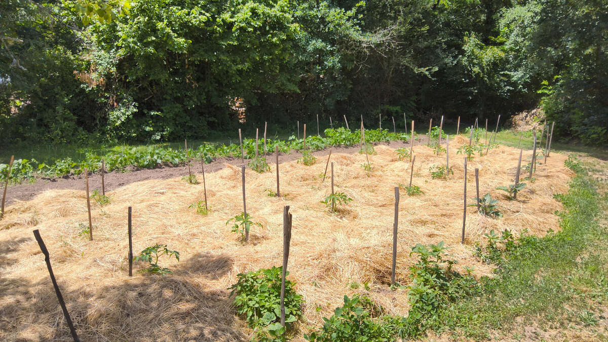 Maison d'artiste avec jardin botanique, source - Terrain 1,6 hectare - photo 26
