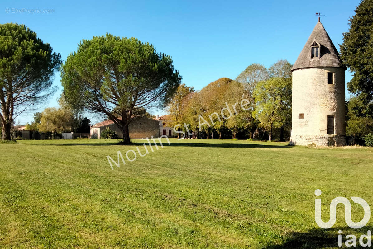 Photo 4 - Maison à SAINT-ANDRE-DE-LIDON