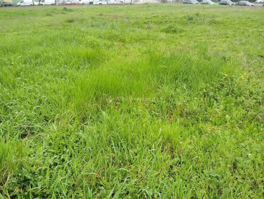 Terrain à LABOUTARIE