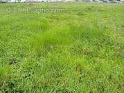 Terrain à LABOUTARIE