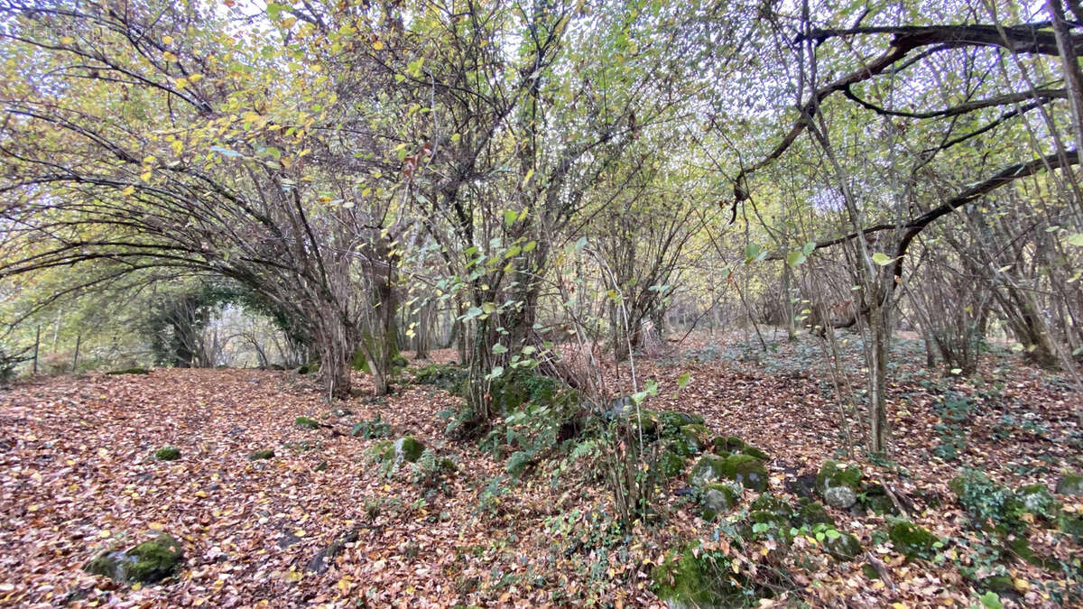 Maison à ARGELES-GAZOST