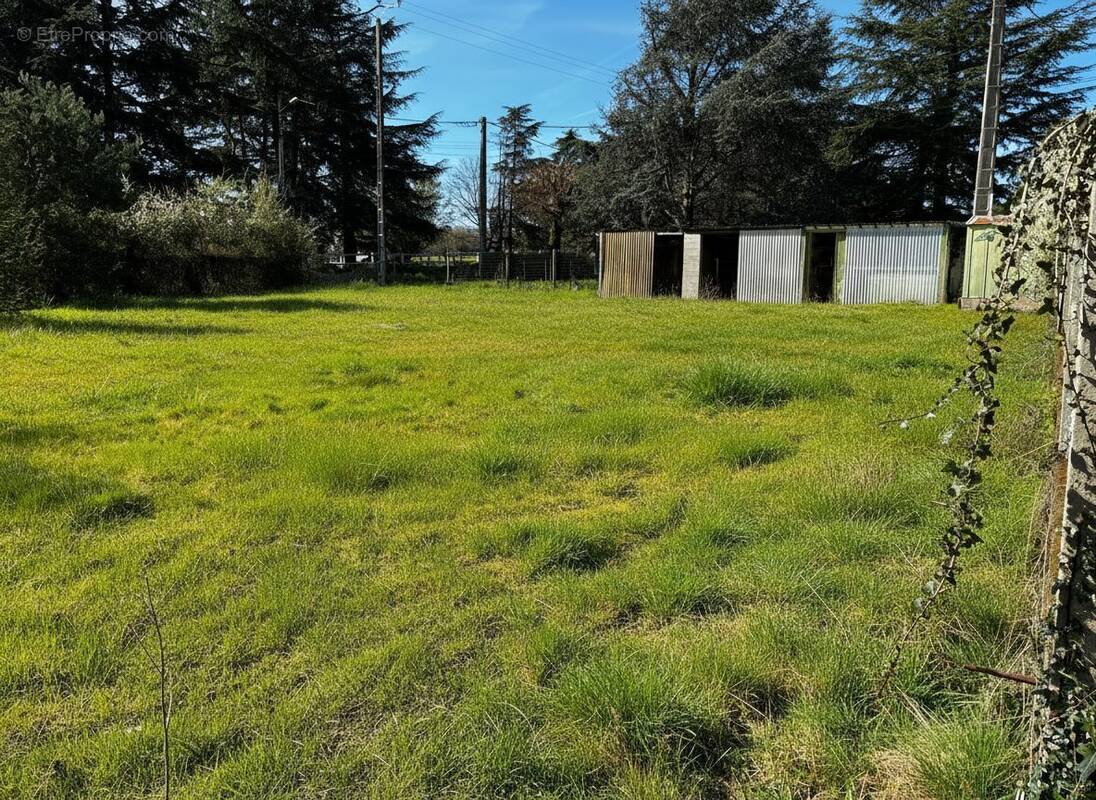 Terrain à SAINT-GONDON