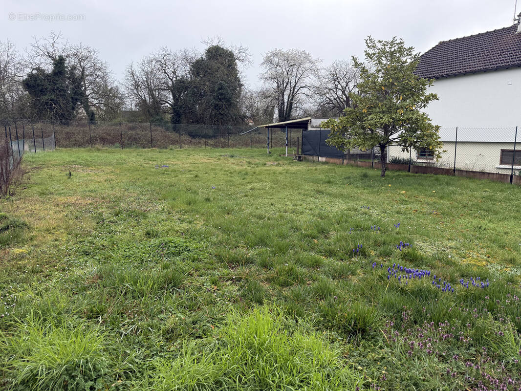 Terrain à SAINT-MAMMES