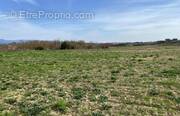 Terrain à CARCASSONNE