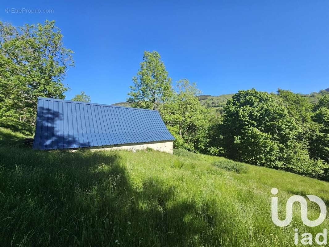 Photo 4 - Maison à ARRENS-MARSOUS