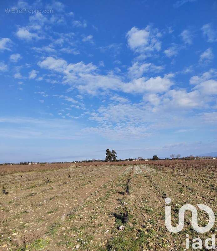 Photo 3 - Terrain à SAINTE-CECILE-LES-VIGNES