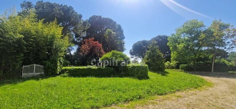 Maison à SAINTE-CHRISTIE-D&#039;ARMAGNAC