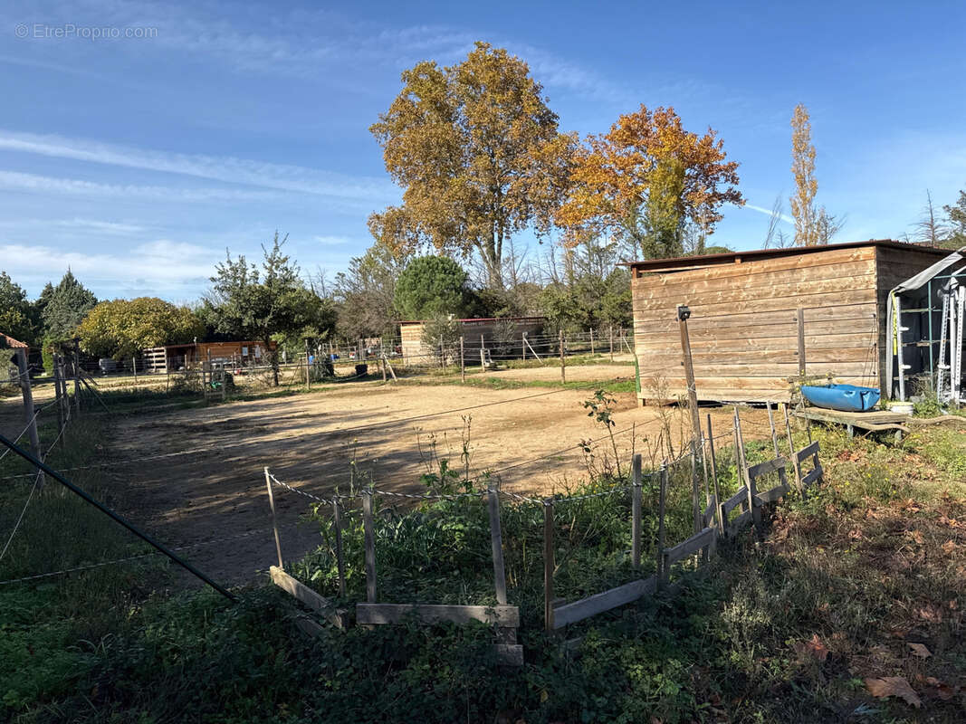 Maison à SAINT-JEAN-PLA-DE-CORTS