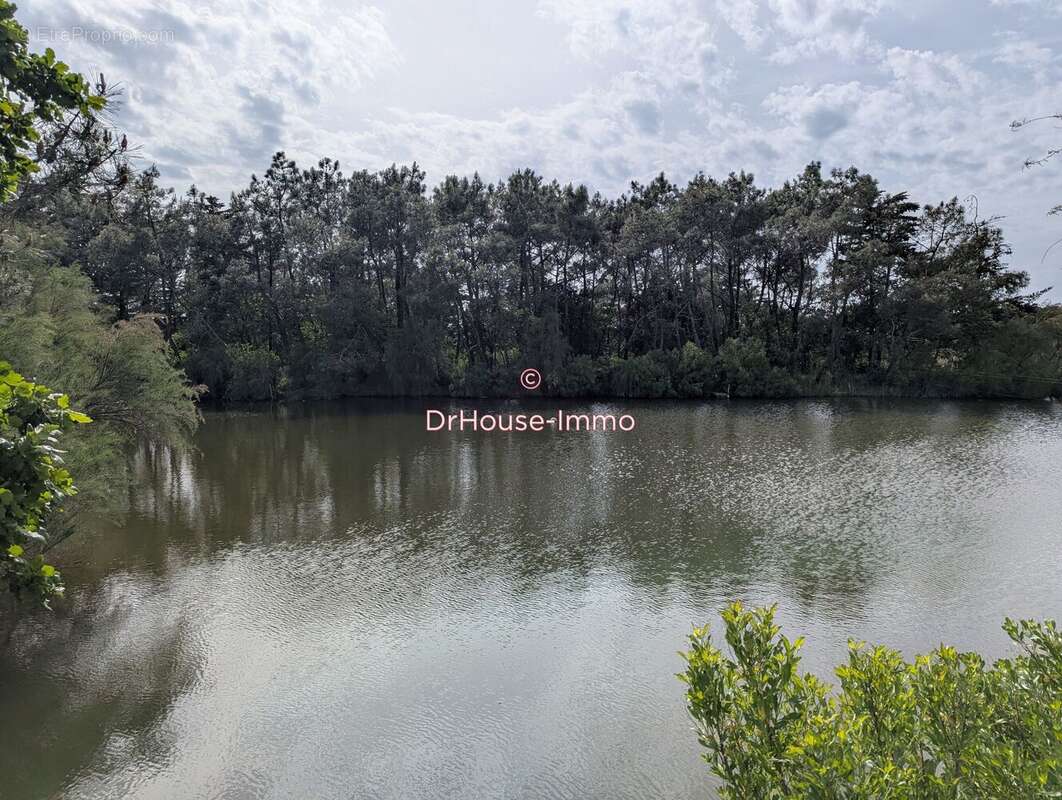 Terrain à L'ILE-D'OLONNE