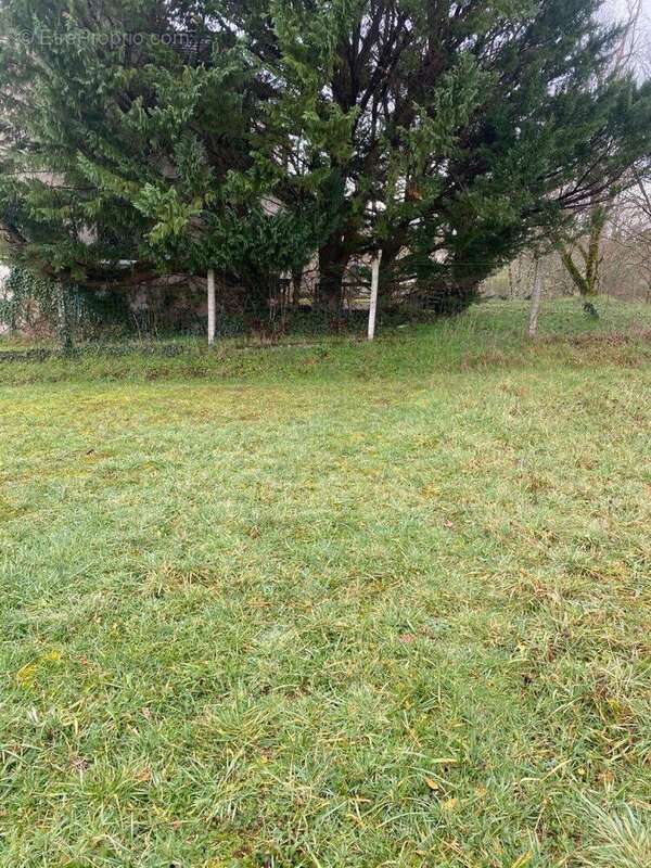 Terrain à bâtir viabilisé de 1 155 m²  Cahors (46) - photo 5