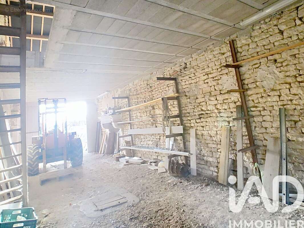 Maison 270 m² à Euffigneix  - photo 6