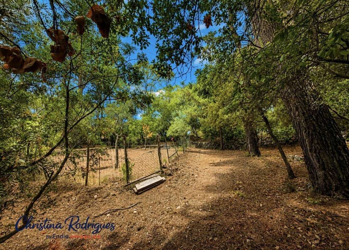 Lorgues terrain a batir - photo 3