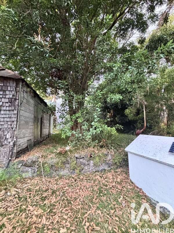 Photo 8 - Terrain à LE TAMPON