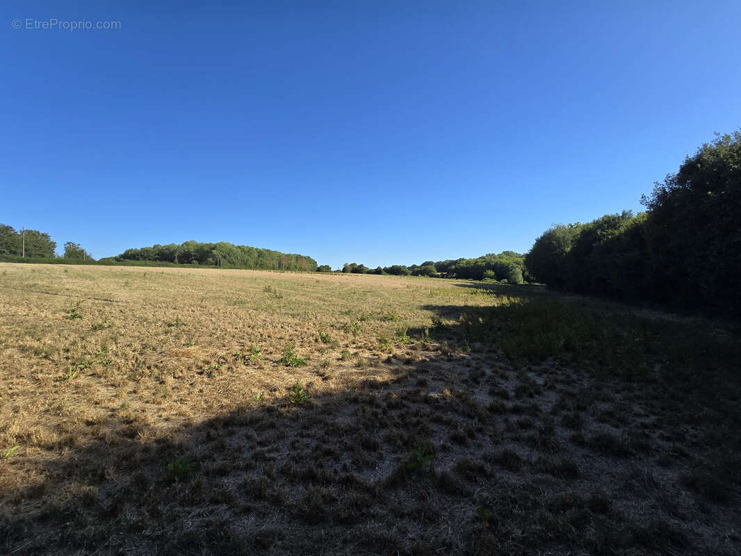 Ensemble foncier de 5 ha 78 a 43 ca   Cernoy-en-Berry - photo 2