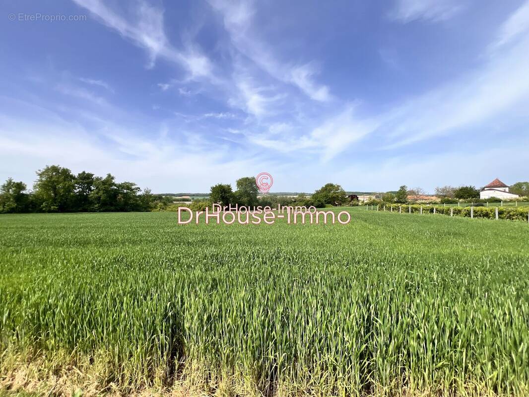 Terrain à RIBERAC