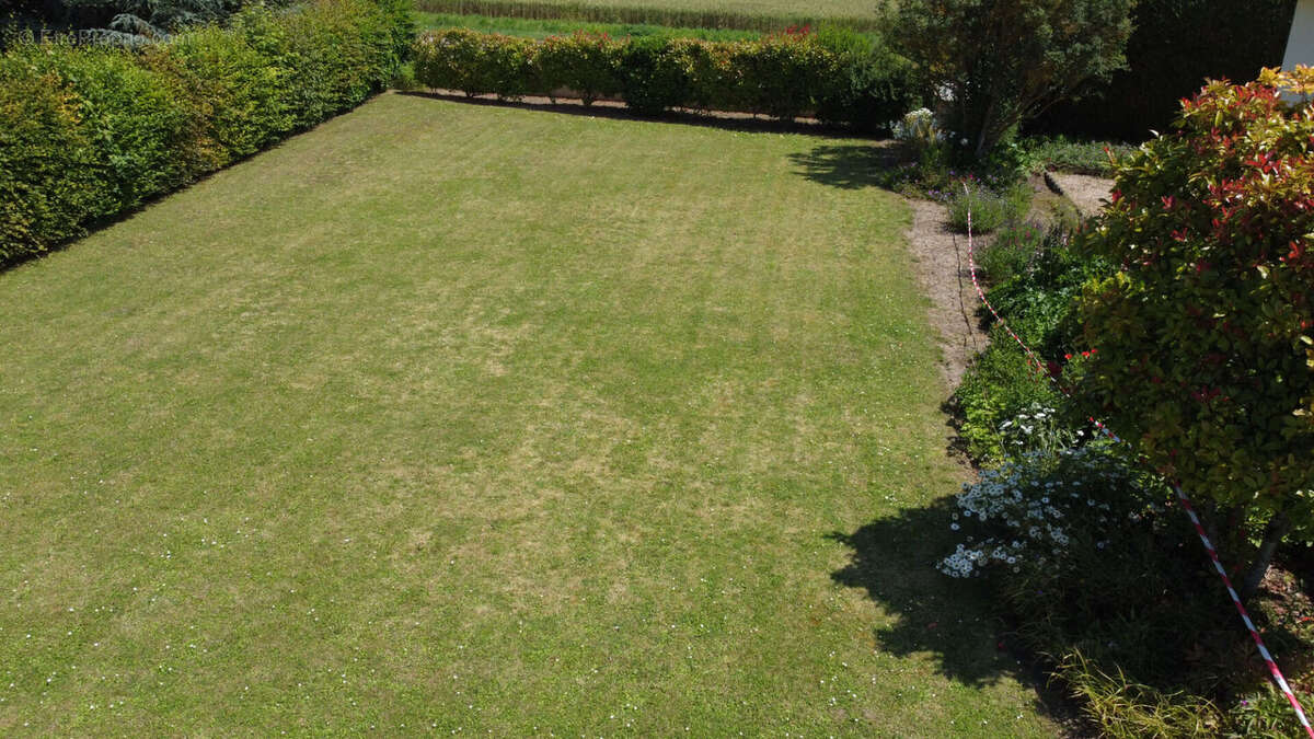 Terrain à MAREIL-LE-GUYON