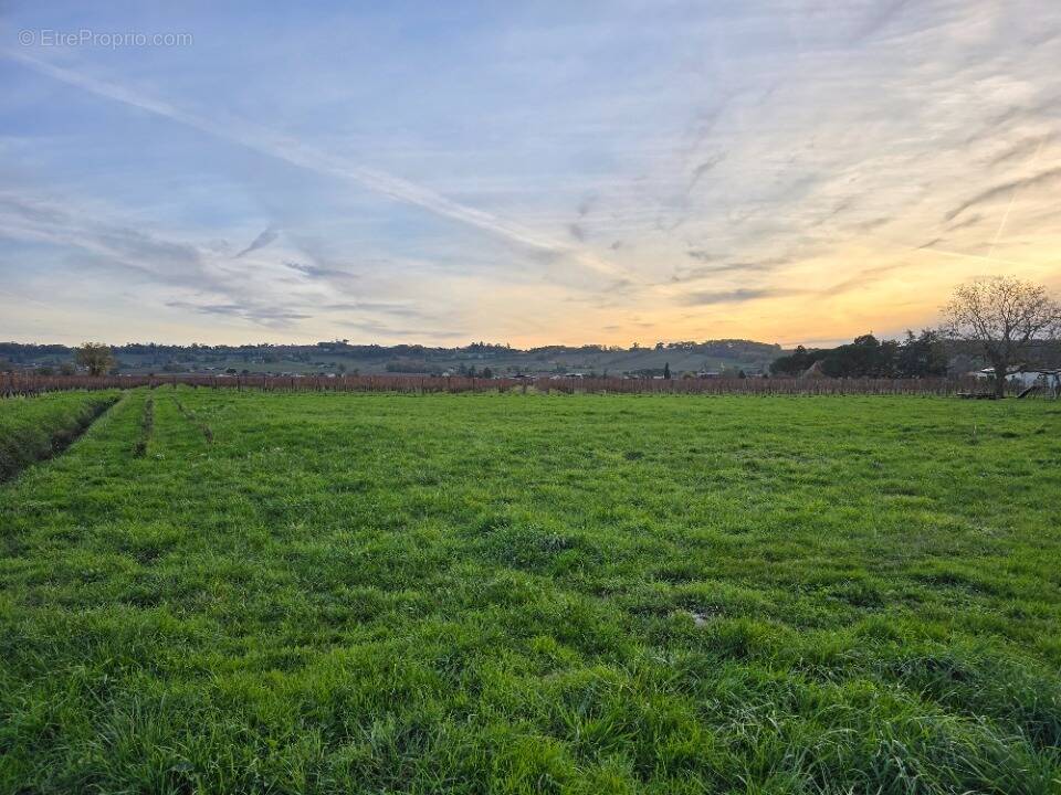 Terrain à SAINT-LAURENT-DES-VIGNES
