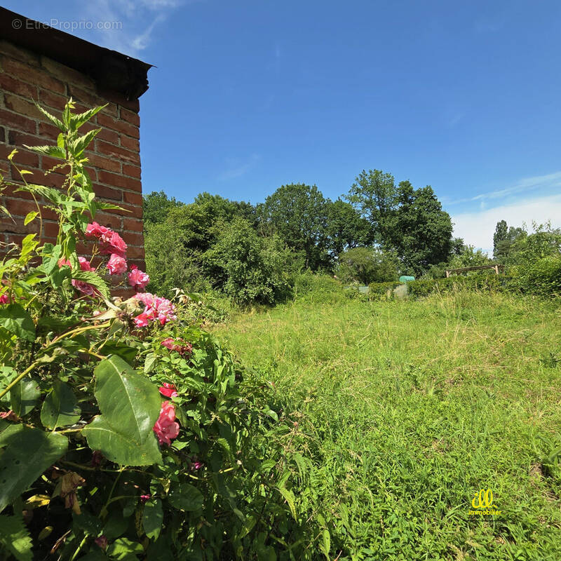 Terrain à FLIZE