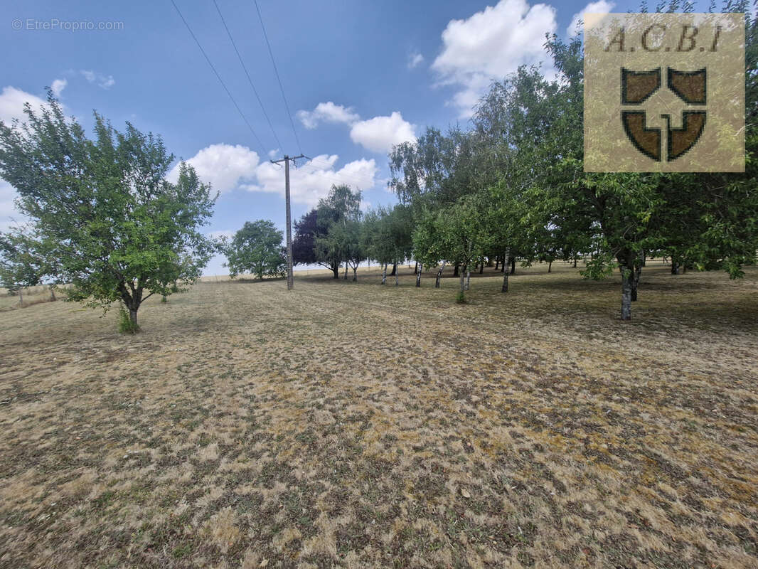 Belle propriété à 10 minutes de Beaugency et 40 minutes d'Orleans - photo 29
