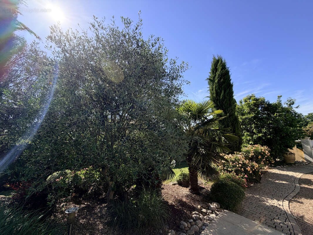 Maison à VILLEFRANCHE-SUR-SAONE