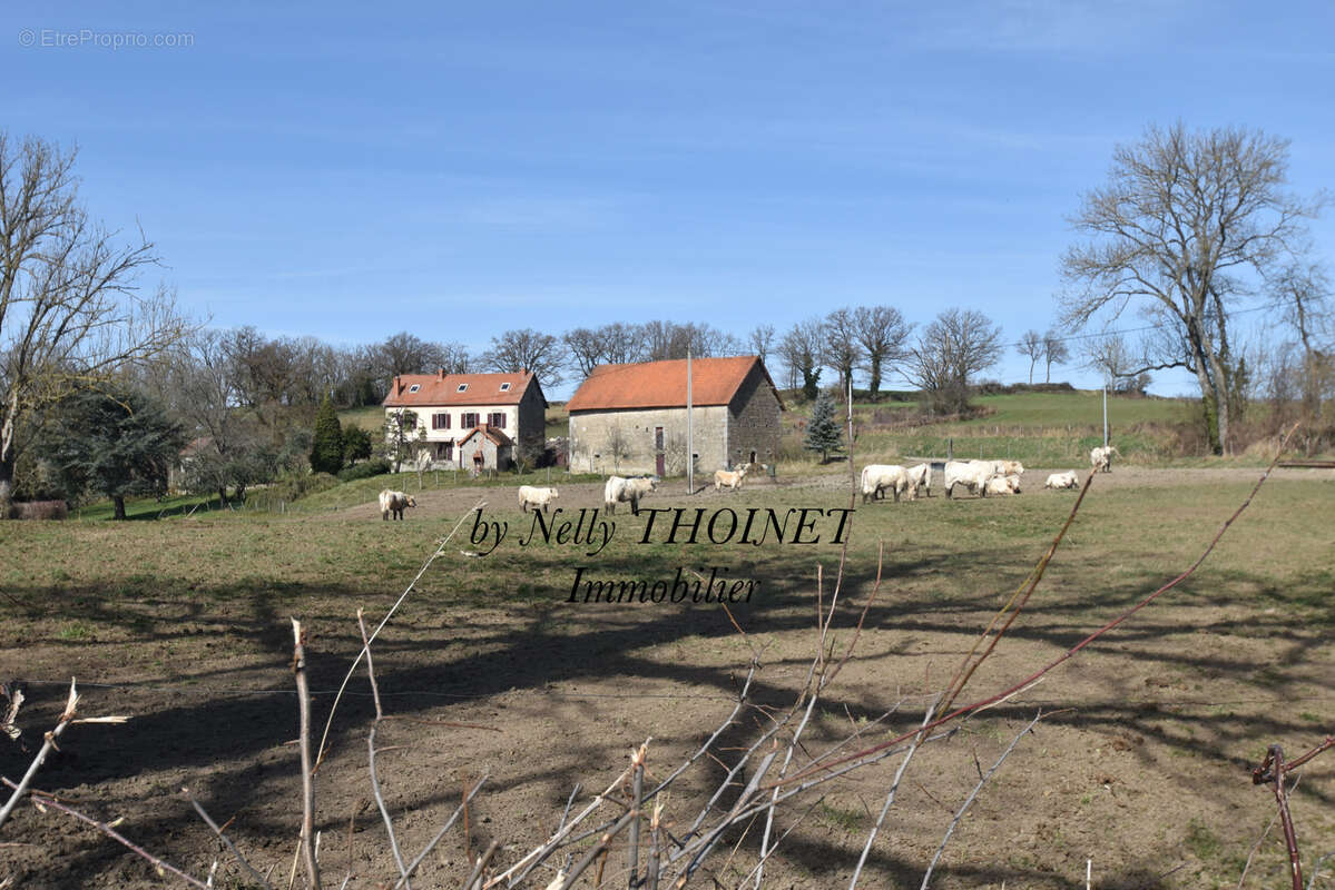 Dépt.23. DONTREIX, ANCIEN CORPS DE FERME en pierre, 7 pièces, dépendances, terrain de 8 774 m2 - photo 19