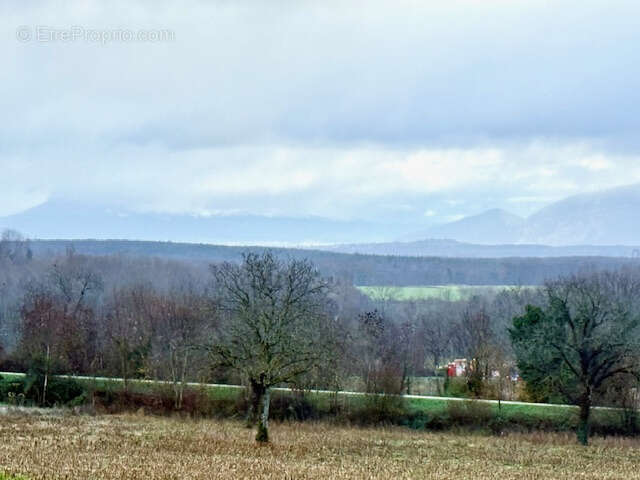 Terrain à FARGES