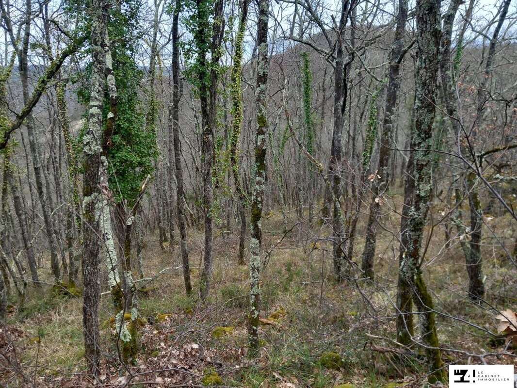 Terrain à SAINT-MICHEL