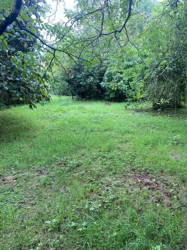 Terrain à BETHEMONT-LA-FORET