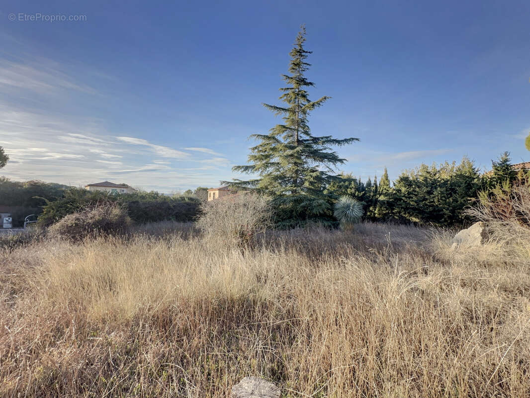 Terrain à SAINT-JEAN-DE-VEDAS