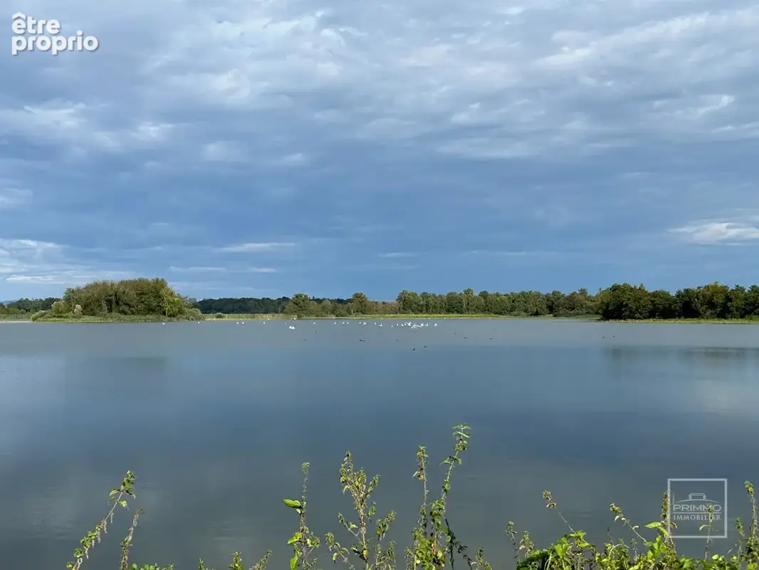 Lapeyrouse, Domain de 118hectares, avec étang et terrain de chasse - photo 5