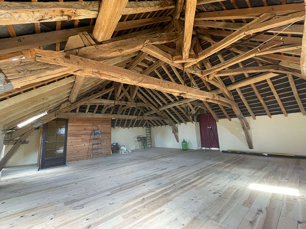 Sancheville - photo 16