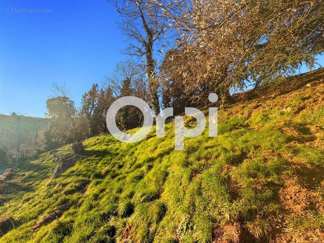 Terrain  constructible à vendre de 2 488 m² - photo 8