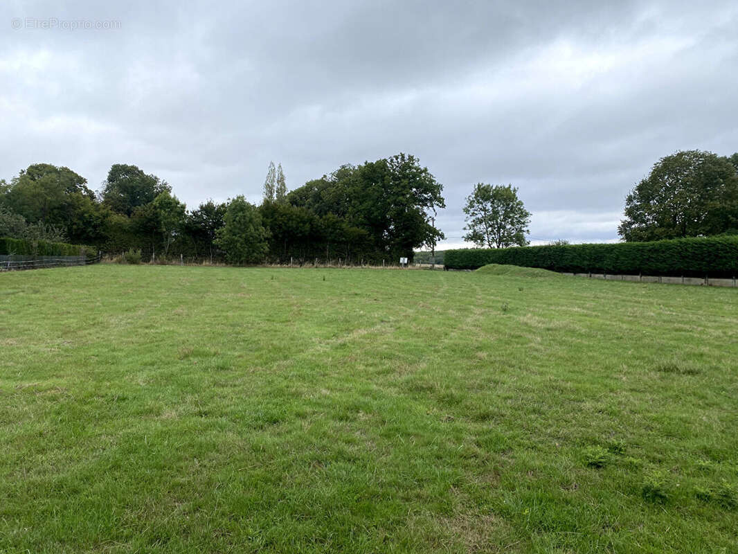 Terrain à BOISSY-LES-PERCHE