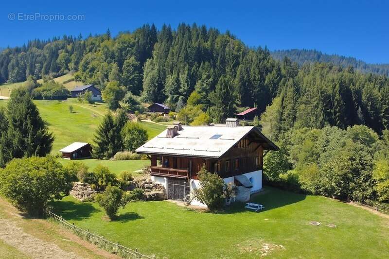 Haute Savoie (74), à vendre MORILLON - Domaine skiable du Grand Massif - Ferme Savoyarde P9 - photo 2