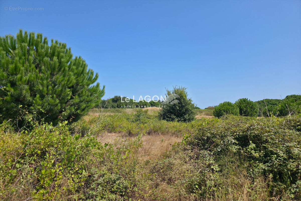 Terrain à LATOUR-BAS-ELNE