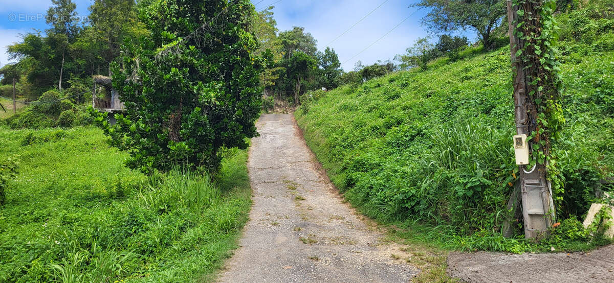 Terrain à LES ABYMES