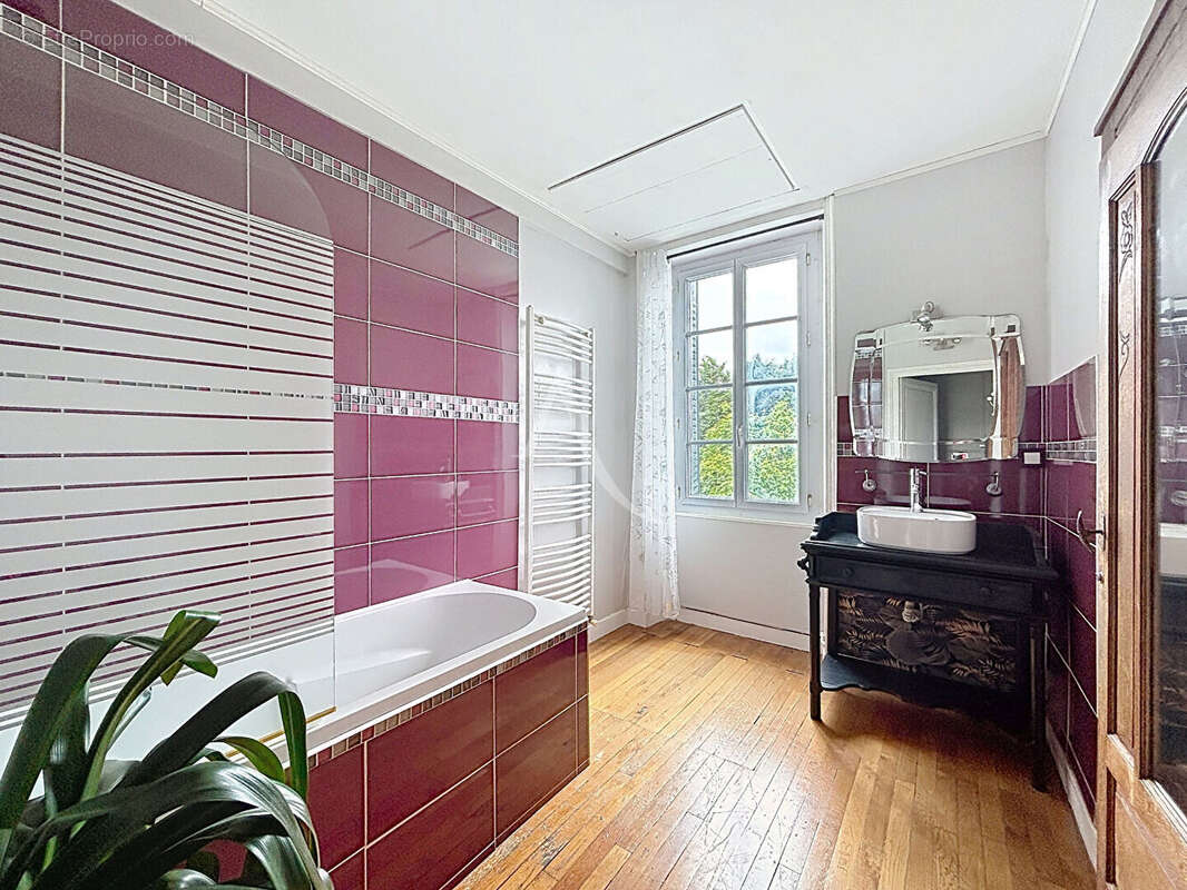 Maison Soeurdres 13 pièce(s) - photo 14