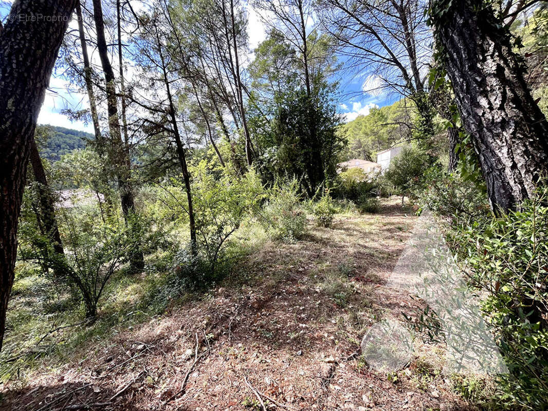 Terrain à SALERNES