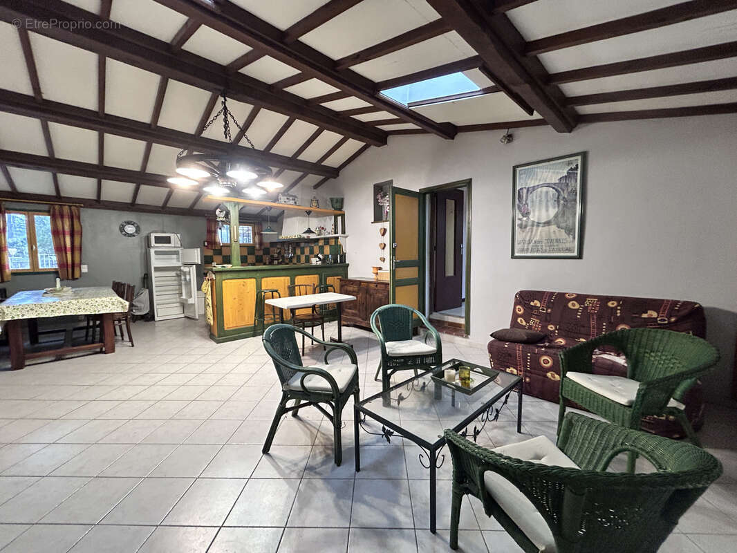 En Cévennes, Maison avec gite et appartement, à vendre - photo 10