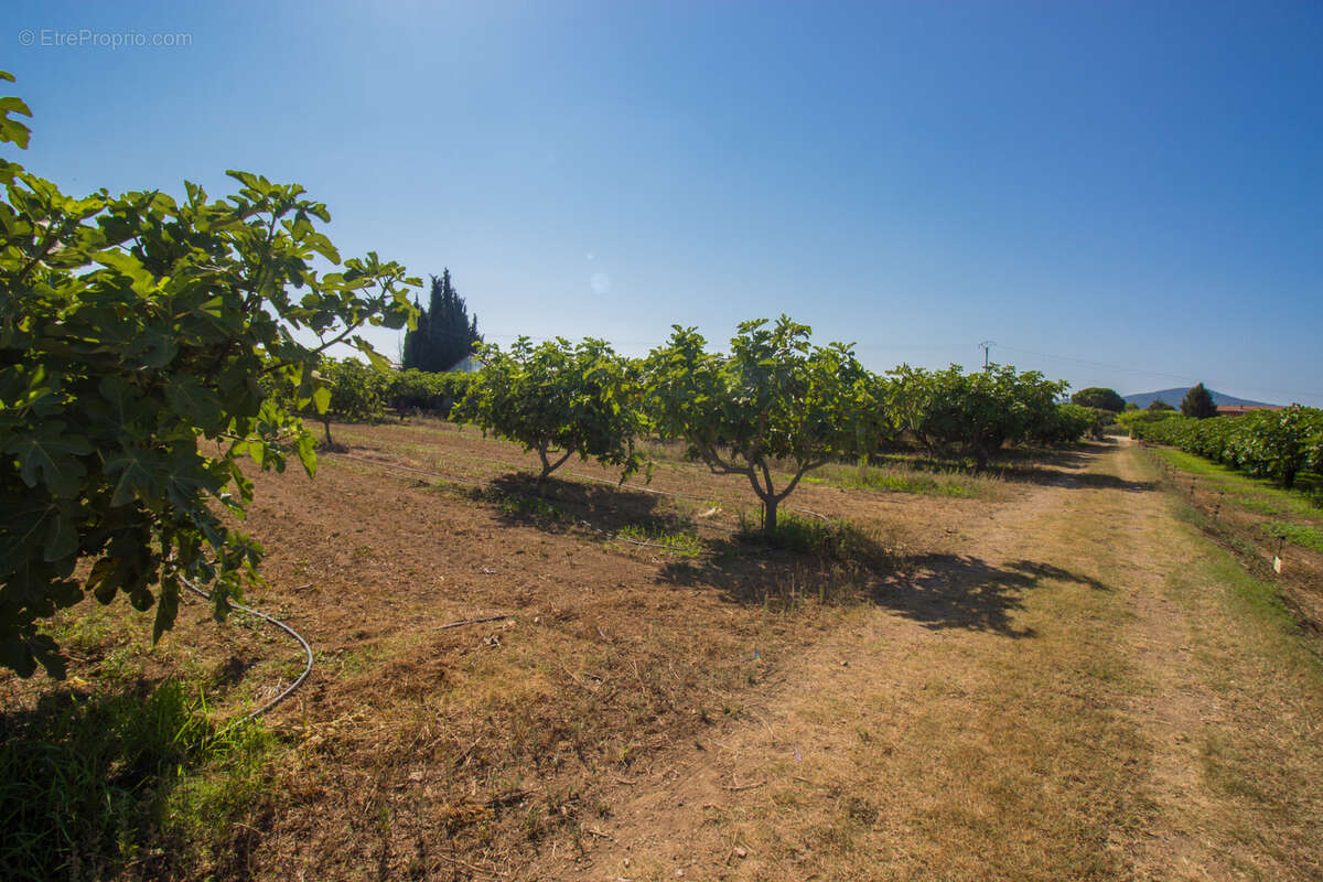 Maison à LA FARLEDE