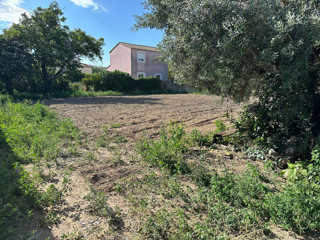 terrain constructible - photo 2