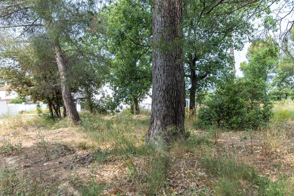 Maison à MARSEILLE-12E