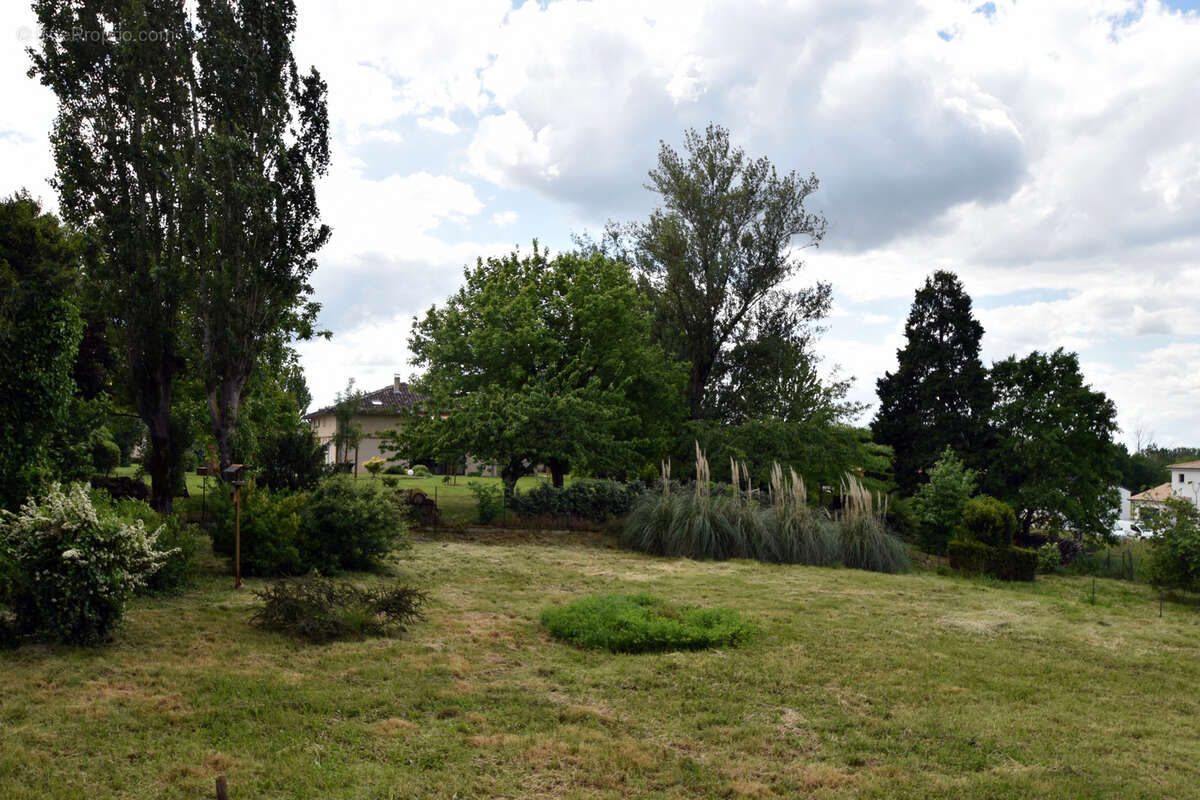 Vente terrain a batir fonneuve - photo 3