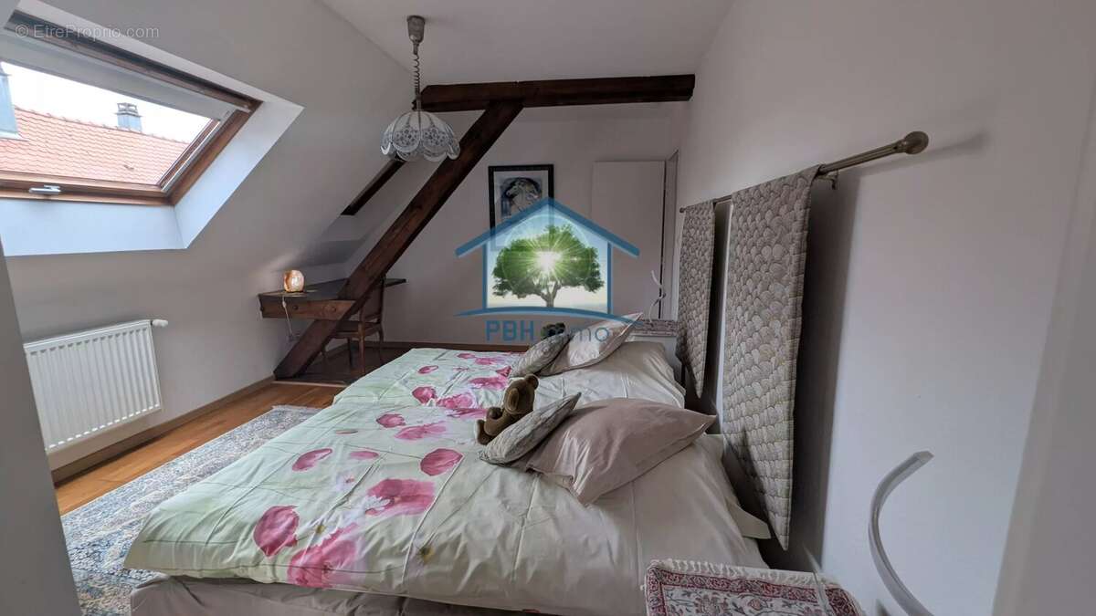 STOTZHEIM (67) -  Maison 11 pièces  250 m², studio indépendant, atelier  et plus de 800m2 de dépendances - photo 10