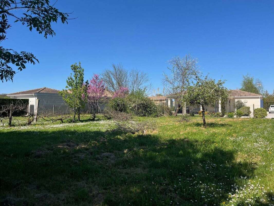 Terrain à BOUTIERS-SAINT-TROJAN