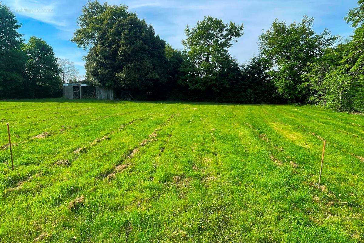 Terrain à bâtir 629 m² hors lotissement à 5 mn de la Gare - photo 3